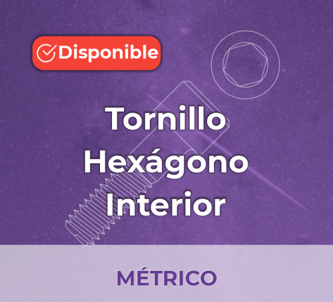 iGalga Tornillo Hexagono interior metrico 2